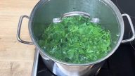 Domácí maggi z libečku a petrželky