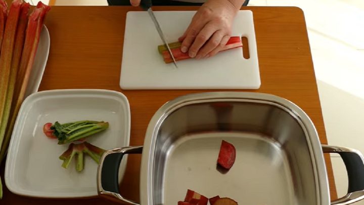 Rebarborový sirup jen ze 4 ingrediencí