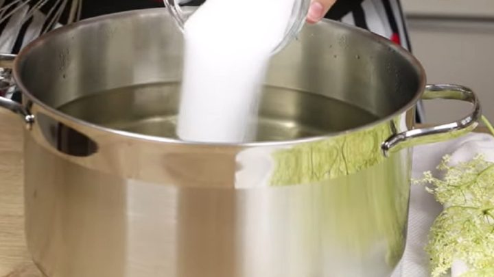 Bezinkový sirup z květů s citronem