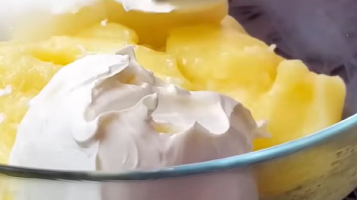 Kokosový dort s vanilkovým krémem a džemem