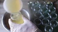 Domácí bezinkový sirup z květů