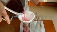 Rebarborový sirup jen ze 4 ingrediencí
