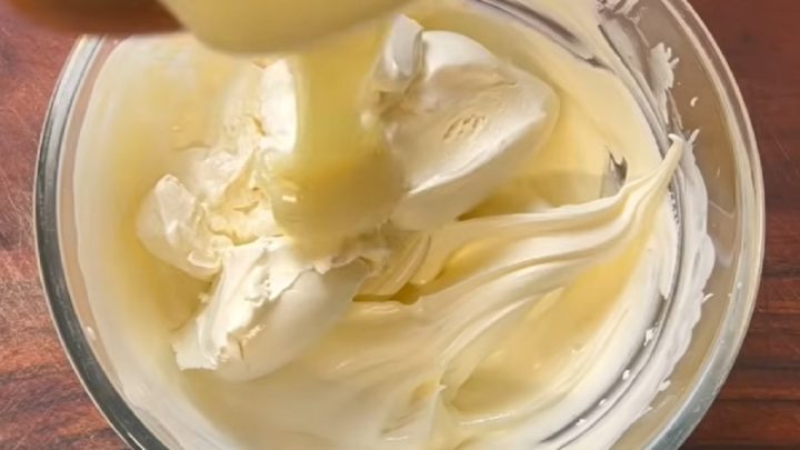 Domácí tiramisu zmrzlina se Salkem