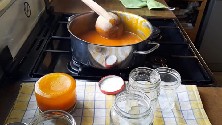 Rychlá meruňková marmeláda s citronem