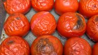 Zavařená pečená rajčata ze 2 ingrediencí