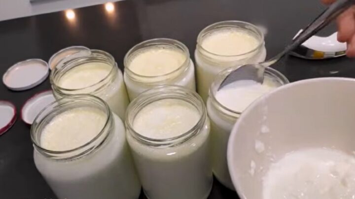 Domácí jogurt do skla ze 2 ingrediencí